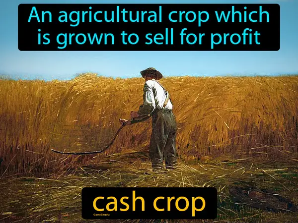 an agricultural crop which is grown to sell for profit