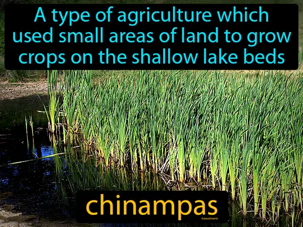 a type of agriculture which used small areas of land to grow crops on the shallow lake beds