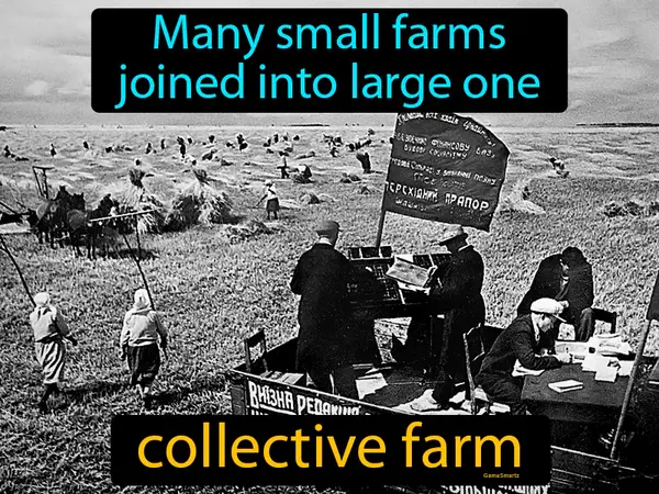 many small farms joined into one large one