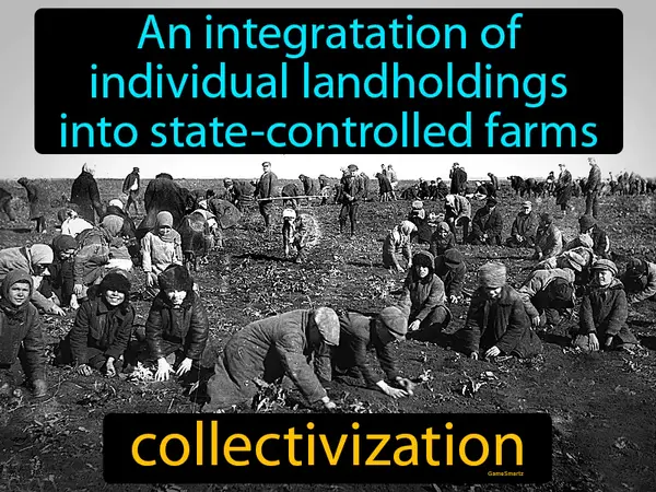 An integratation of individual landholdings into state-controlled farms