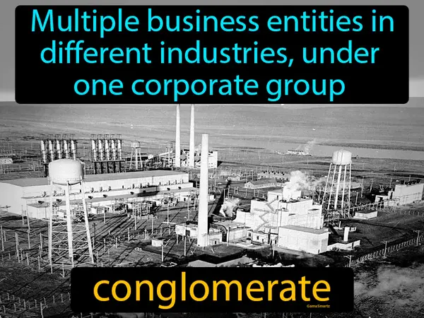 multiple business entities in different industries, under one corporate group
