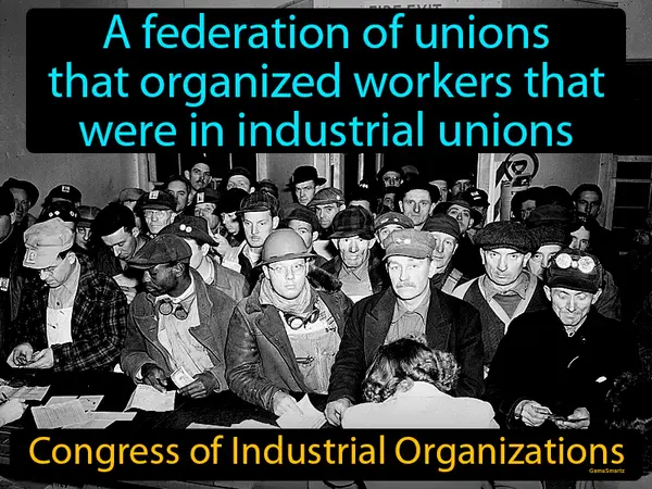 a federation of unions that organized workers in industrial unions