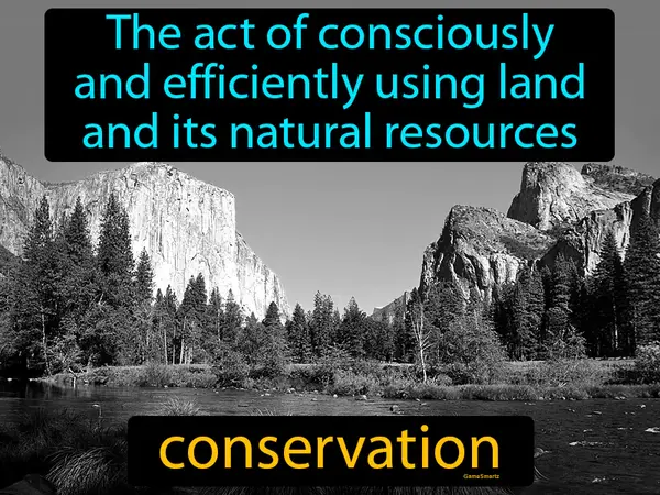the act of consciously and efficiently using land and its natural resources
