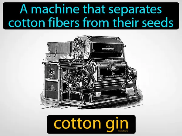 a machine that separates cotton fibers from their seeds