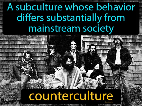 a subculture whose behavior differs substantially from mainstream society
