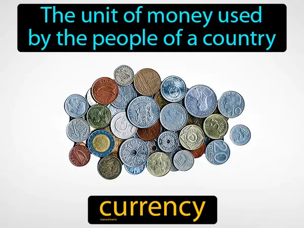 The unit of money used by the people of a country