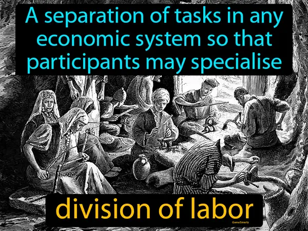 a separation of tasks in any economic system so that participants may specialise