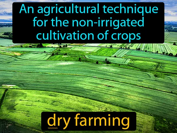 an agricultural technique for the non-irrigated cultivation of crops