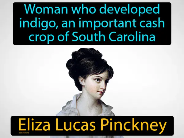 woman who developed indigo, an important cash crop of South Carolina