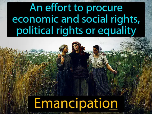 an effort to procure economic and social rights, political rights or equality