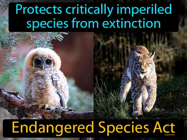 protects critically imperiled species from extinction