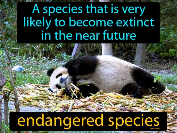 A species that is very likely to become extinct in the near future