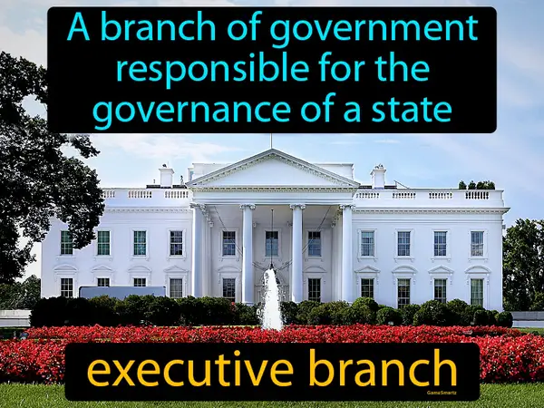 a branch of government responsible for the governance of a state