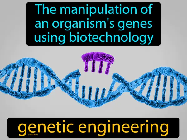 the manipulation of an organism's genes using biotechnology