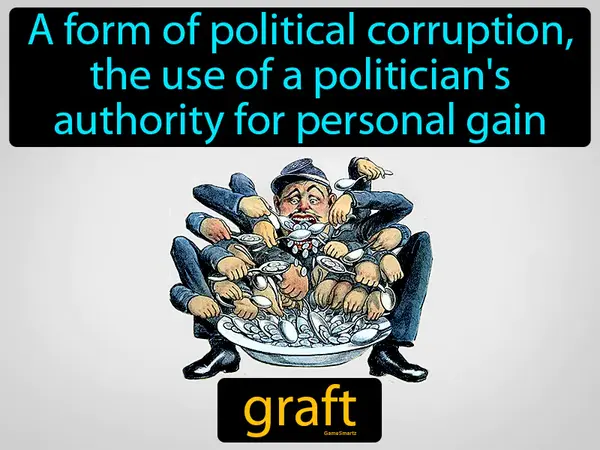 a form of political corruption, the use of a politician's authority for personal gain