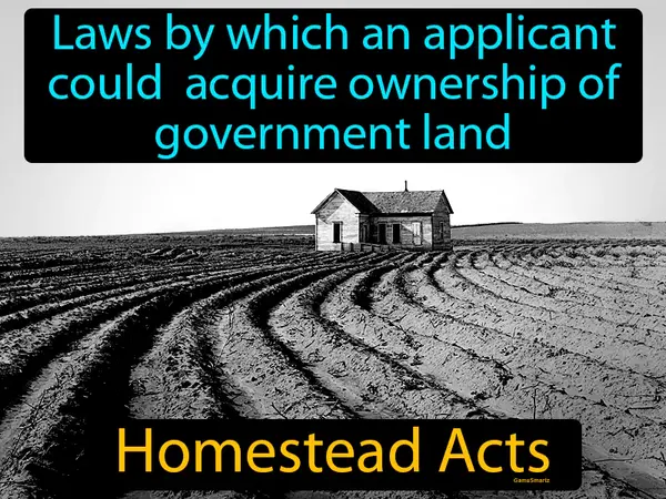 laws by which an applicant could acquire ownership of government land