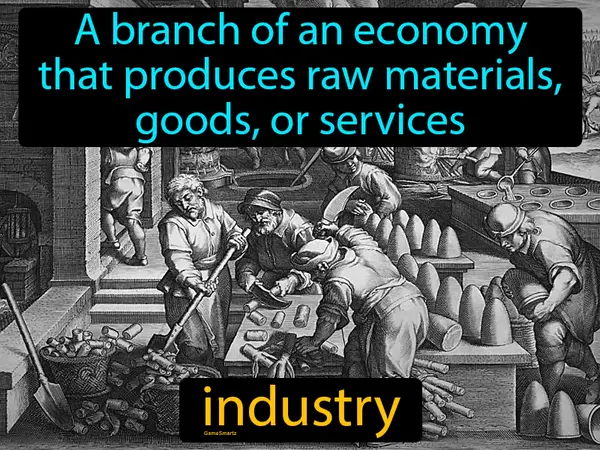 a branch of an economy that produces raw materials, goods, or services
