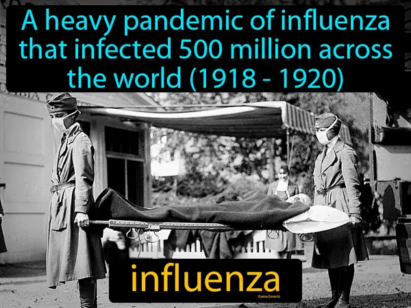 a heavy pandemic of influenza that infected 500 million across the world between 1918 and 1920