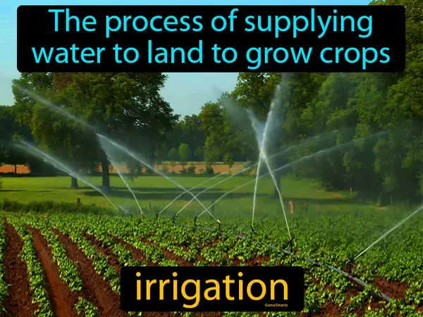 the process of supplying water to land to grow crops