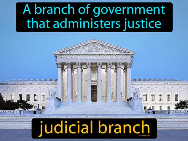 a branch of government that administers justice
