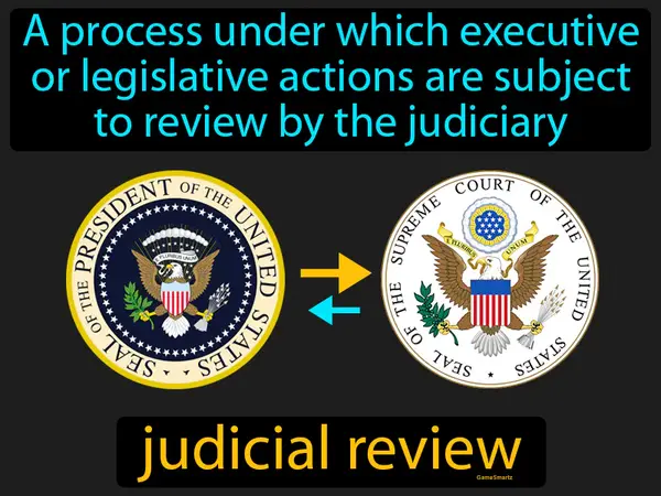 a process under which executive or legislative actions are subject to review by the judiciary