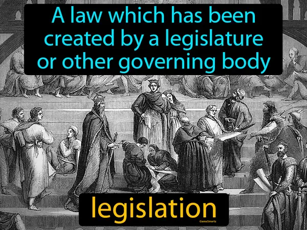 a law which has been created by a legislature or other governing body