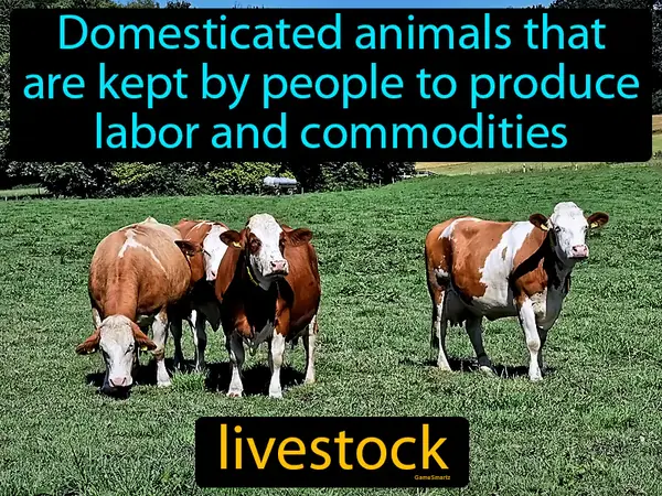 domesticated animals that are kept by people to produce labor and commodities