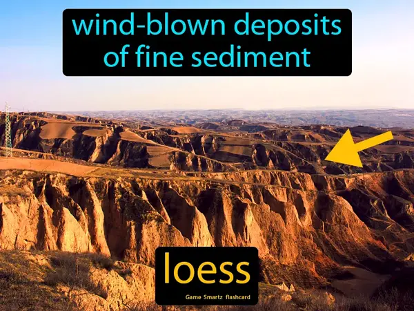 wind-blown deposits of fine sediment