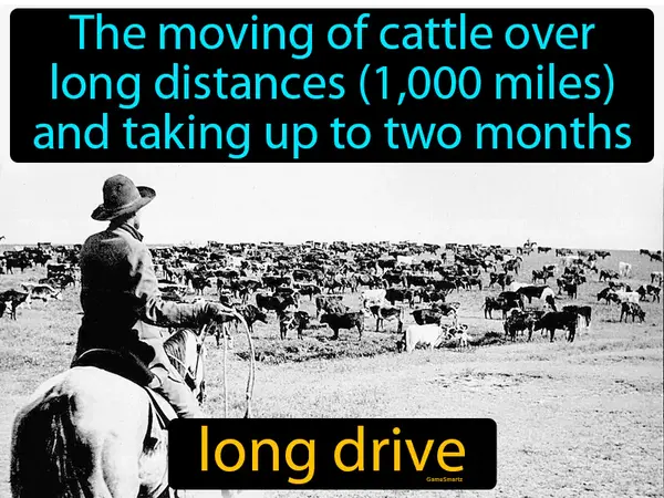 the moving of cattle over long distances (1,000 miles) and taking up to two months