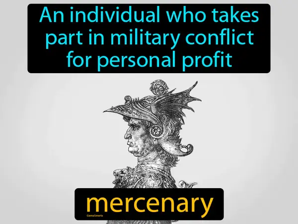 an individual who takes part in military conflict for personal profit