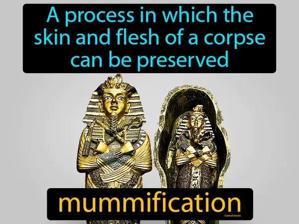 a process in which the skin and flesh of a corpse can be preserved