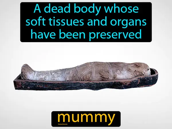 a dead body whose soft tissues and organs have been preserved