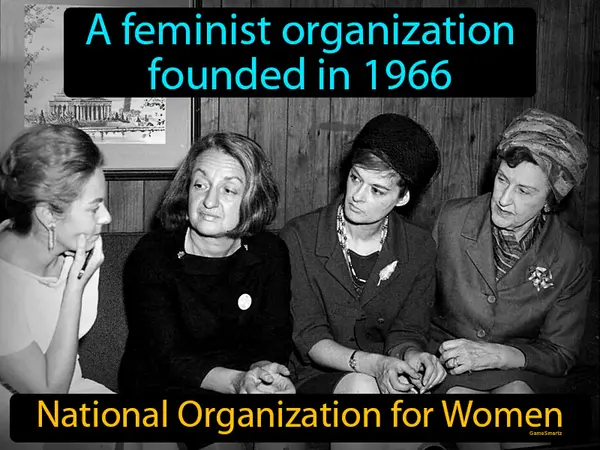 a feminist organization founded in 1966