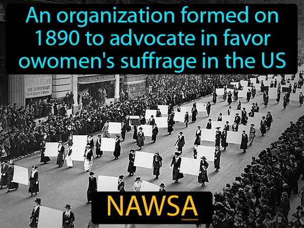 formed in 1890 to advocate women's suffrage in the US