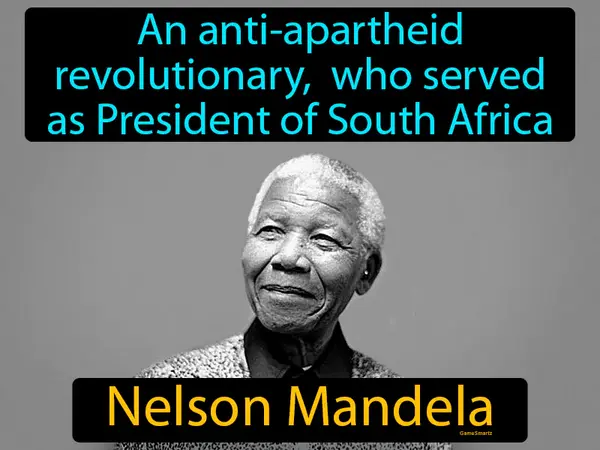 an anti-apartheid revolutionary, who served as President of South Africa