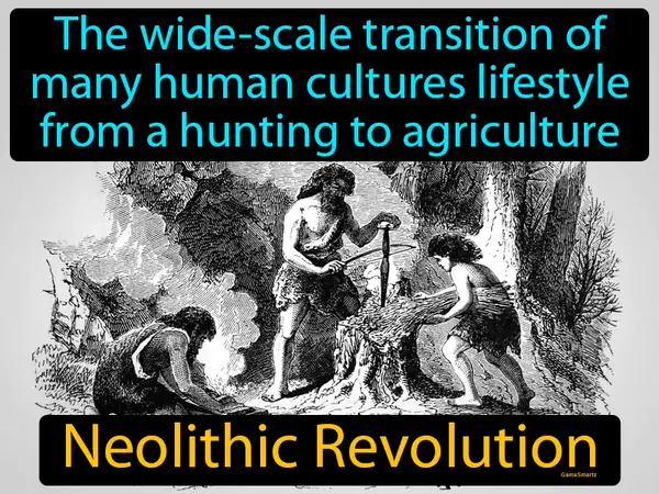 The wide-scale transition of many human cultures lifestyle from a hunting to agriculture