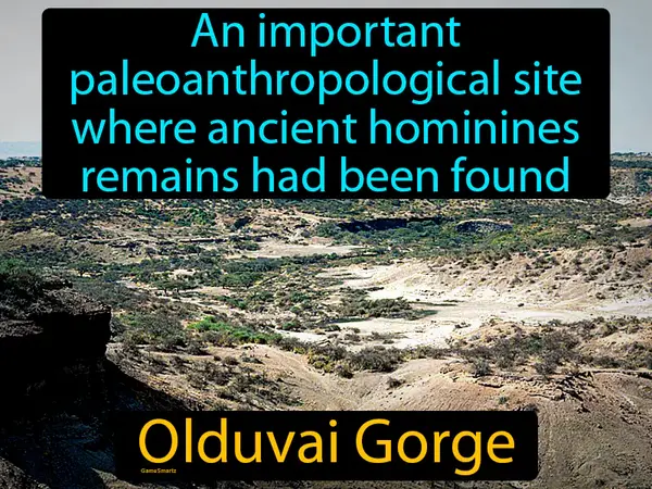 an important paleoanthropological site where ancient hominines remains had been found