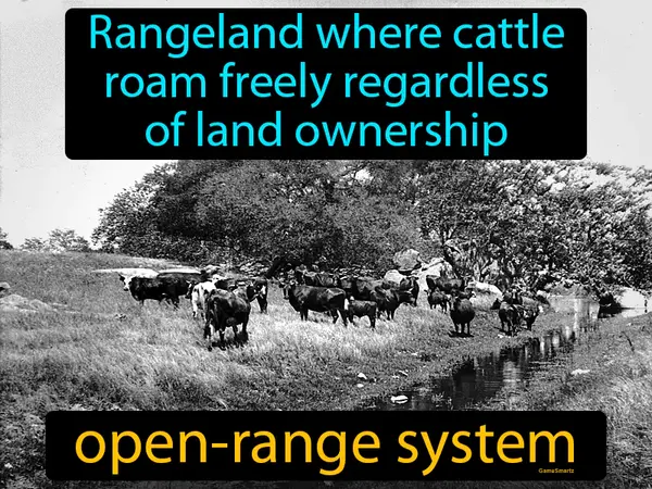 a range land where cattle roam freely regardless of land ownership