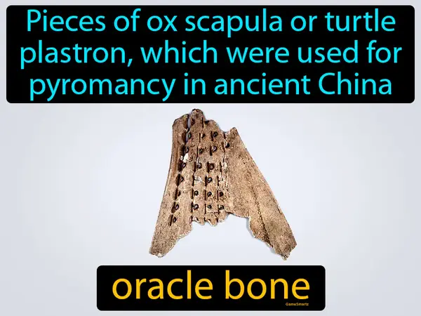 pieces of ox scapula or turtle plastron, which were used for pyromancy in ancient China