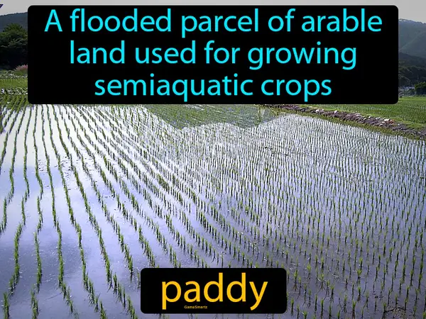 A flooded parcel of arable land used for growing semiaquatic crops