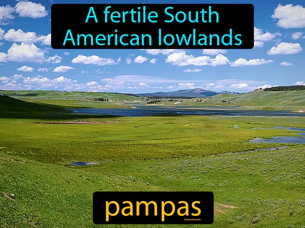 a fertile South American lowlands