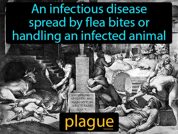 an infectious disease spread by flea bites or handling an infected animal
