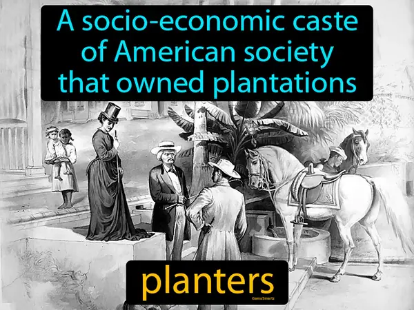 a socio-economic caste of American society that owned plantations