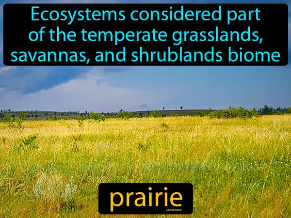 Ecosystems considered part of the temperate grasslands, savannas, and shrublands biome
