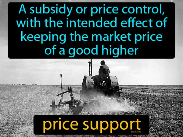 a subsidy or price control, with the intended effect of keeping the market price of a good higher
