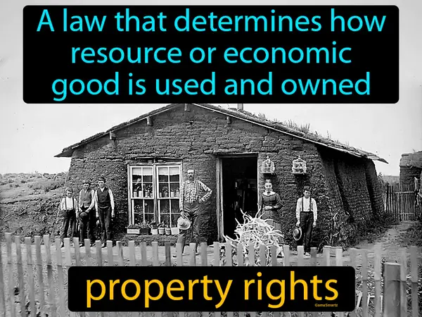 a law that determines how resource or economic good is used and owned