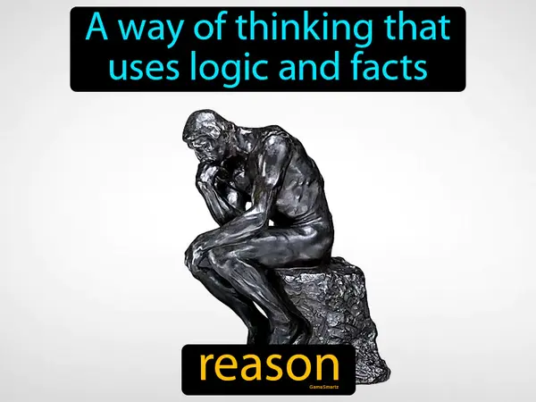 a way of thinking that uses logic and facts