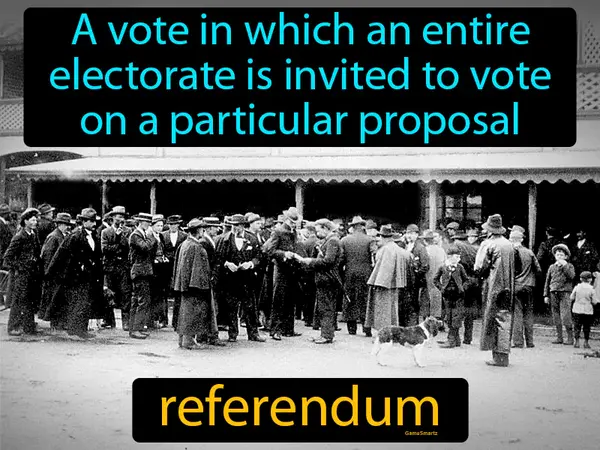 a vote in which an entire electorate is invited to vote on a particular proposal