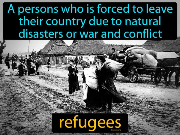 a persons who is forced to leave their country due to natural disasters or war and conflict