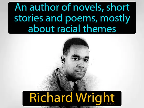 an author of novels, short stories and poems, mostly about racial themes
